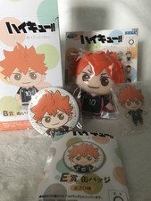 Haikyuu Shoyo Hinata Sega