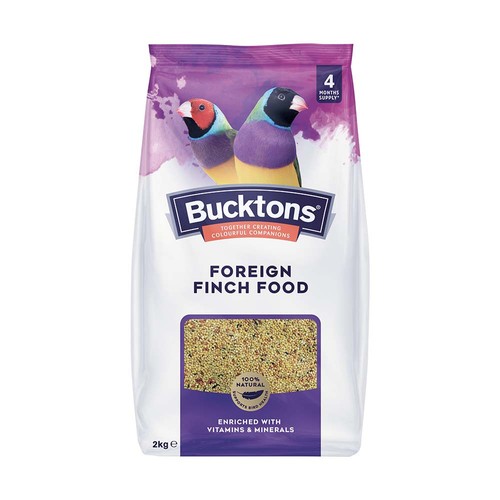 Bucktons foreign finch - finch, food