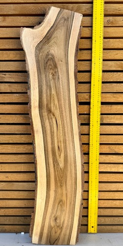 European walnut live - walnut,