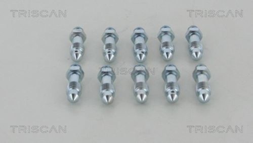 Triscan wheel brake cylinder