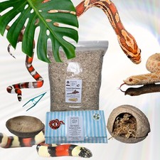 Snake starter pack great - snake,
