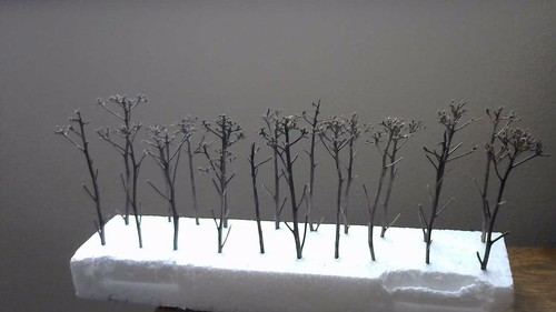 Scale dead trees inches - ho,