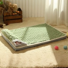 Green Mat Dog Puppy Cat Pet