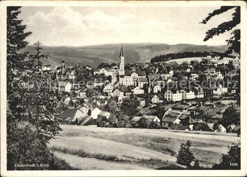 Yew stock - yew,