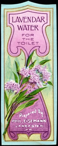 Vintage bottle label - vintage,
