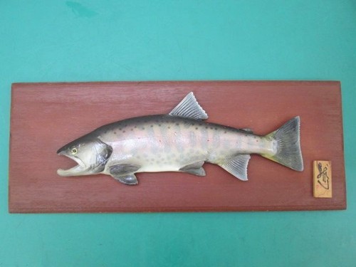 Japanese yamame trout - yamame,