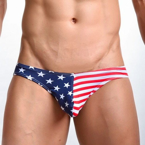 American flag gay convex - gay,