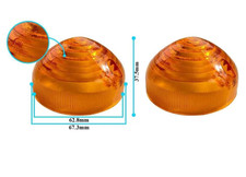 Indicator Lens 2x Fits Land