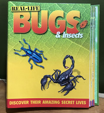 Real life bugs insects - &,