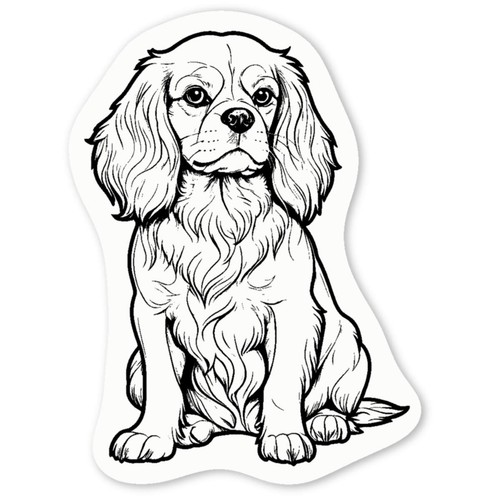 Cavalier king charles - 'cavalier,