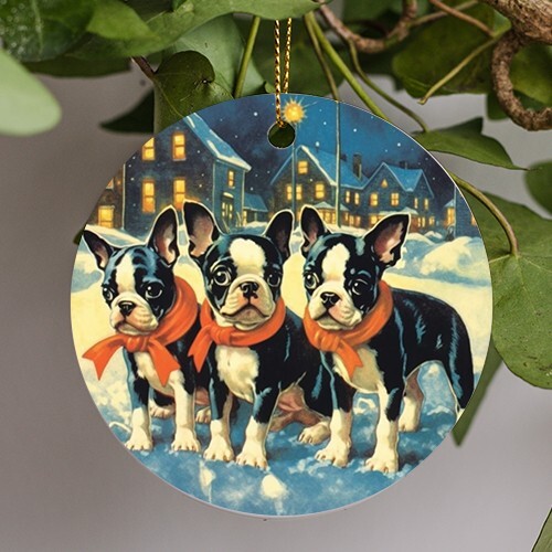 Boston terrier puppies - boston,
