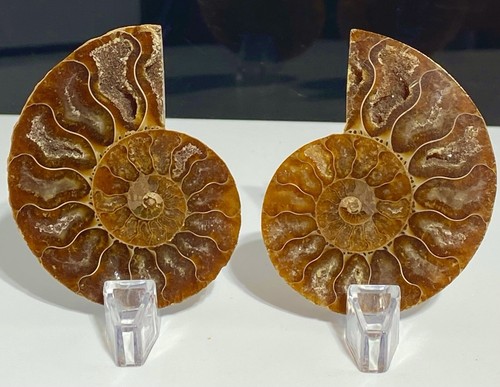 75mm madagascan matching - 75mm,