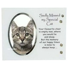 My Special Cat Photo Frame