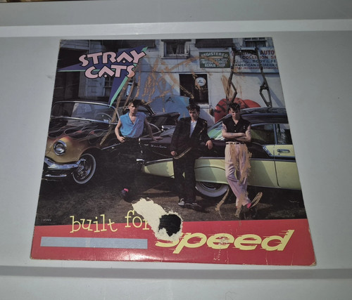 Stray cats built for speed - cats, "built