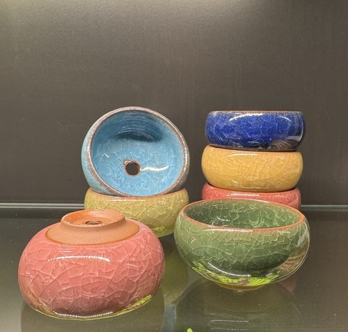 Crackle glaze mini succulent - glaze,