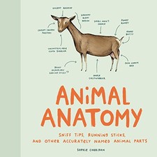 Animal Anatomy: Sniff Tips