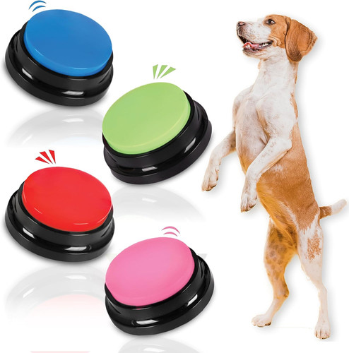 Dog buttons talk training 4 - dog,