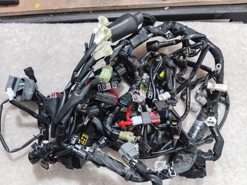 Yamaha wiring loom - yamaha,