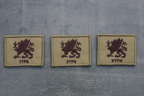 Royal airforce tactical - royal,
