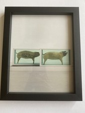 DAMIEN HIRST UNSIGNED PRINT