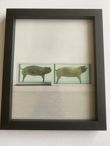 Damien hirst unsigned print - damien,
