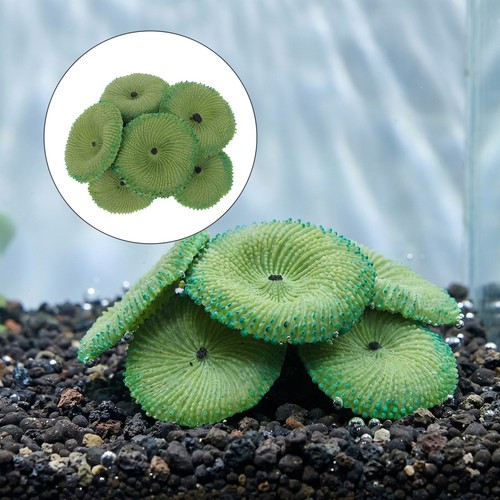 4pcs artificial coral - 4pcs,
