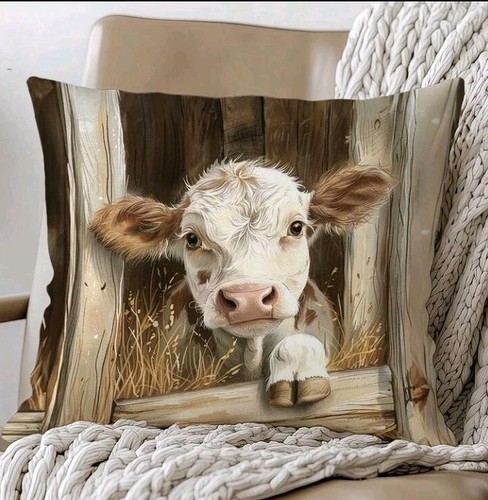 Beautiful highland cow - 1,