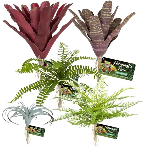 Zoomed plastic bromeliads air - zoomed,