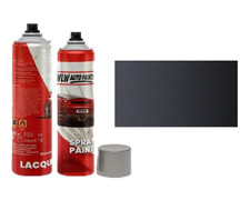 Aerosol spray paint lacquer - aerosol,