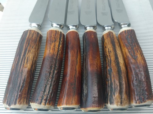 Fabulous quality stag horn - 6,