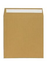 Neo 12″ Brown Record Card