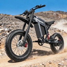 Powerful 20"Electric Bike 60V