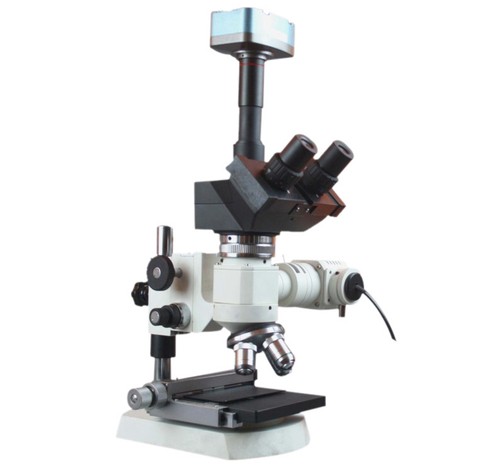600x trinocular top - 600x, light