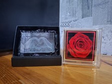 Brand new Love valentines