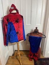 Spiderman Fancy Dress Costume