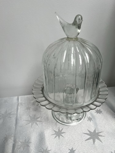 Glass dome with bird cake - dome,