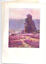 1901 lithograph Didier-Pouget