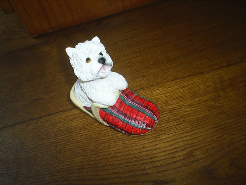 Leonardo westie west highland - westie.,
