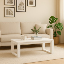 Low Coffee Table White Grey