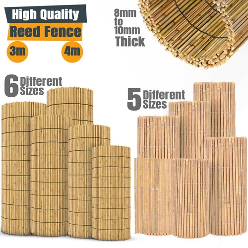 Natural reed fence - reed,