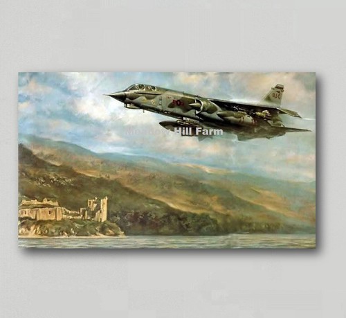 Fridge magnet bac - tsr, plane