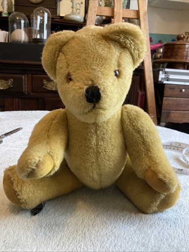 Canterbury bear 1989 - bear,