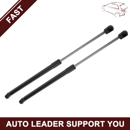 Tailgate lift supports struts - tailgate,