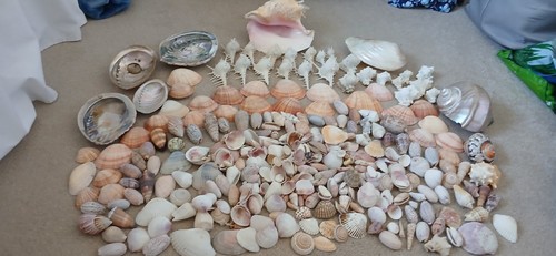 Large job lot - lot, of