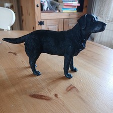 Leonardo black labrador - leonardo,
