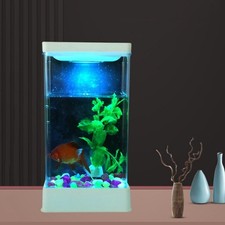 Desktop Mini Fish Tank With