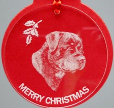 ROTTWEILER #2 MALE, DOG