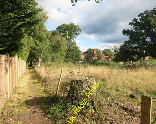 Photo 12x8 clearing the - 12x8,