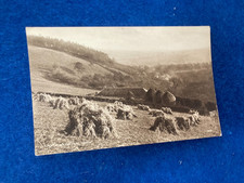 HAWICK ROXBURGHSHIRE  VINTAGE POSTCARD  - HAY STOOKS  WILTON DEAN  VGC