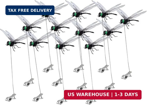 Pack dragonfly clip 3d - 12,
